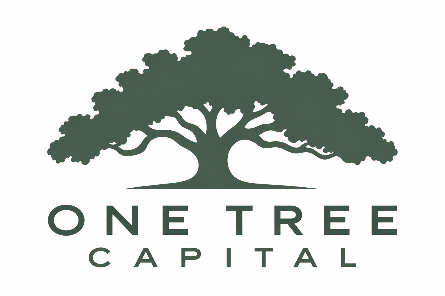 One Tree Capital